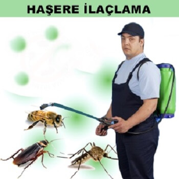 Eğirdir Böcek İlaçlama
